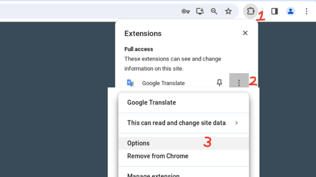 Steps for opening the extension options page: First, click the extensions icon in Chrome. Then, click "More options" next to "Google Translate". Finally, click "Options".